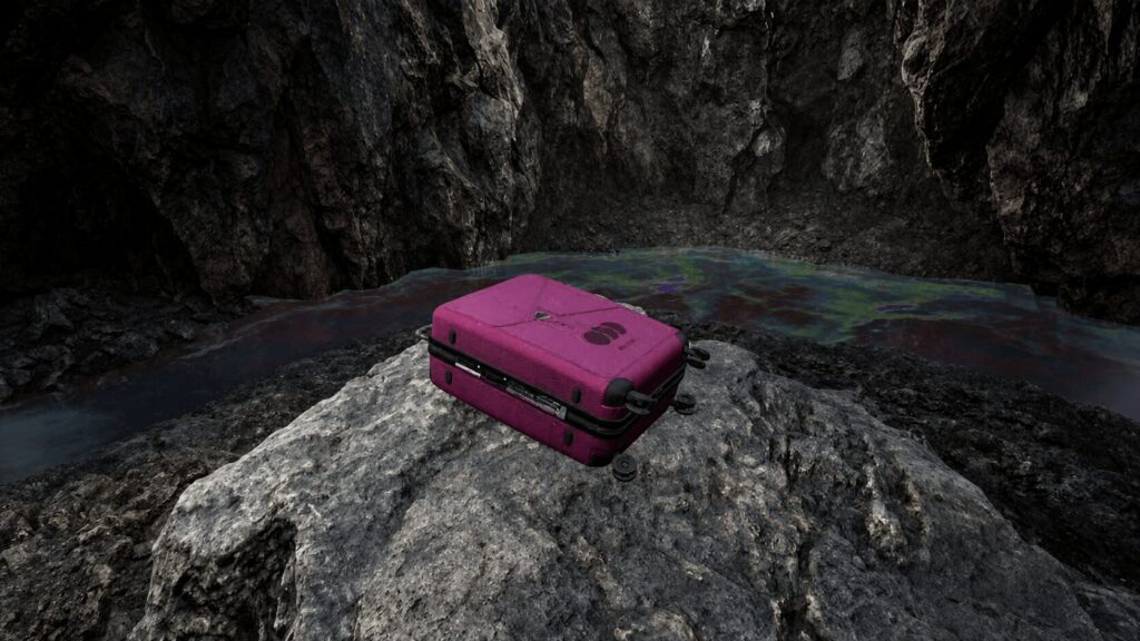 розовый чемодан The Alters Last Variable